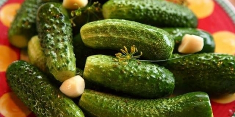 Brzi kiseli krastavci